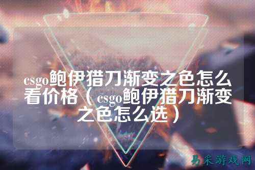 csgo鲍伊猎刀渐变之色怎么看价格（csgo鲍伊猎刀渐变之色怎么选）