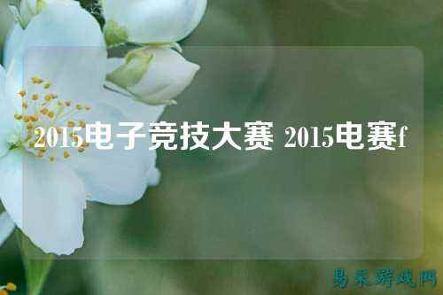 2015电子竞技大赛 2015电赛f