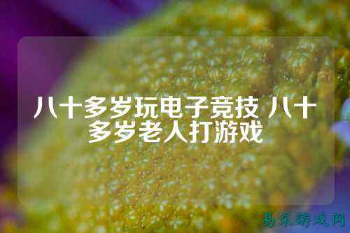 八十多岁玩电子竞技 八十多岁老人打游戏