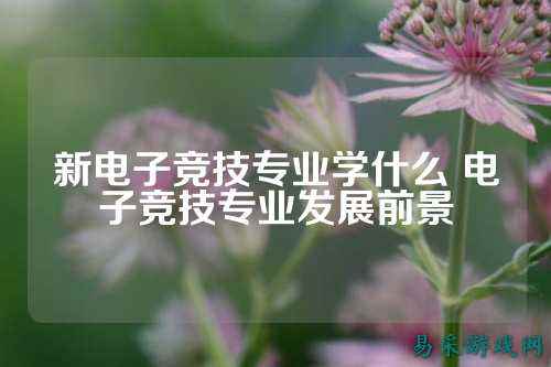 新电子竞技专业学什么 电子竞技专业发展前景