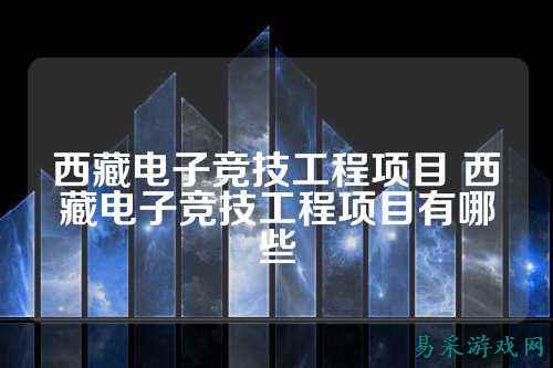 西藏电子竞技工程项目 西藏电子竞技工程项目有哪些