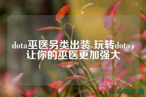 dota巫医另类出装 玩转dota，让你的巫医更加强大