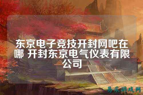 东京电子竞技开封网吧在哪 开封东京电气仪表有限公司