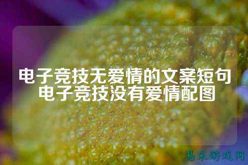 电子竞技无爱情的文案短句 电子竞技没有爱情配图
