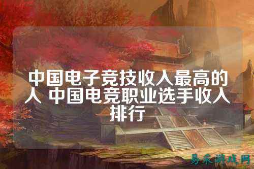 中国电子竞技收入最高的人 中国电竞职业选手收入排行