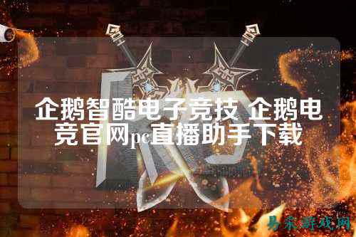 企鹅智酷电子竞技 企鹅电竞官网pc直播助手下载