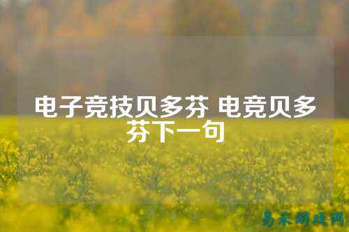 电子竞技贝多芬 电竞贝多芬下一句