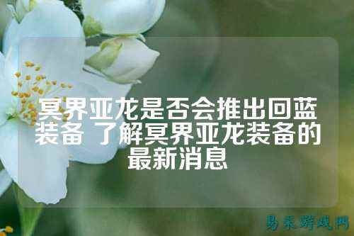 冥界亚龙是否会推出回蓝装备 了解冥界亚龙装备的最新消息