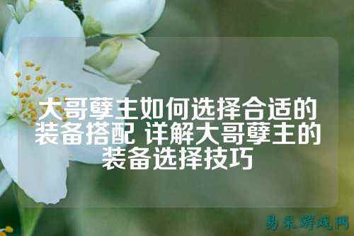 大哥孽主如何选择合适的装备搭配 详解大哥孽主的装备选择技巧