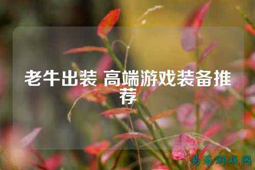 老牛出装 高端游戏装备推荐