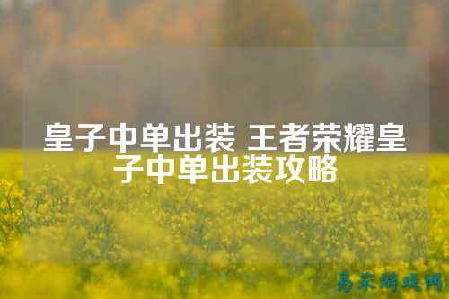 皇子中单出装 王者荣耀皇子中单出装攻略