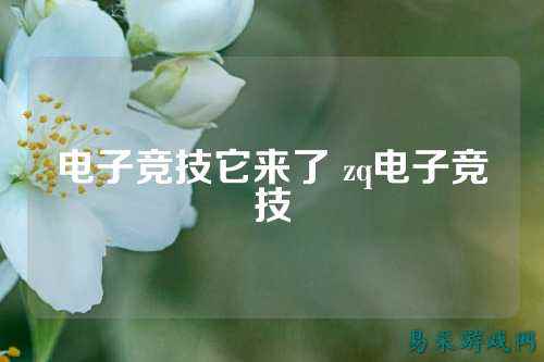 电子竞技它来了 zq电子竞技