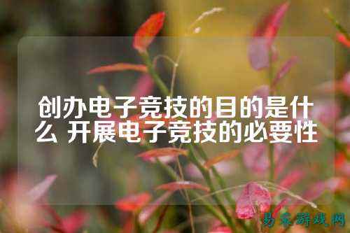 创办电子竞技的目的是什么 开展电子竞技的必要性
