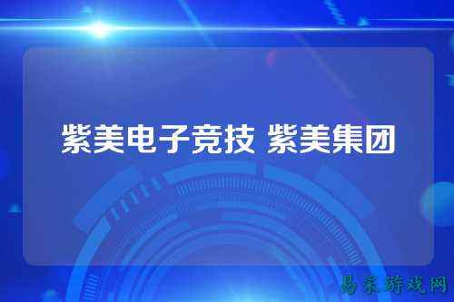 紫美电子竞技 紫美集团