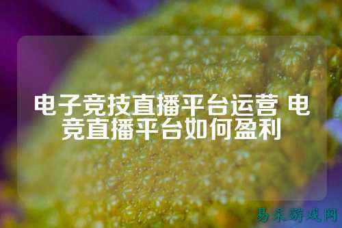 电子竞技直播平台运营 电竞直播平台如何盈利