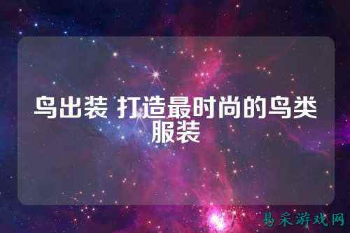 鸟出装 打造最时尚的鸟类服装
