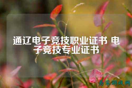通辽电子竞技职业证书 电子竞技专业证书