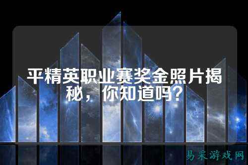 平精英职业赛奖金照片揭秘，你知道吗？