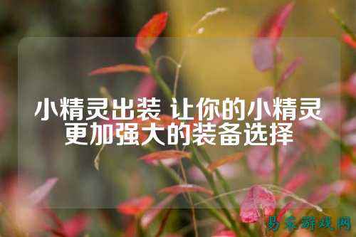 小精灵出装 让你的小精灵更加强大的装备选择