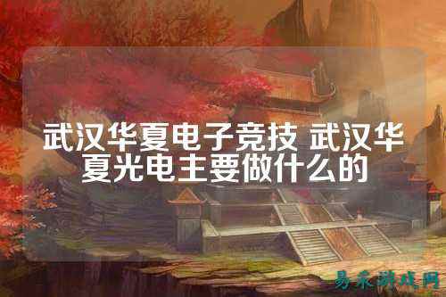 武汉华夏电子竞技 武汉华夏光电主要做什么的
