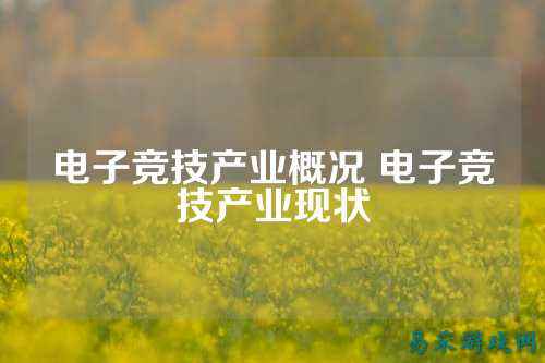 电子竞技产业概况 电子竞技产业现状