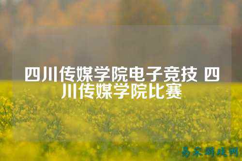 四川传媒学院电子竞技 四川传媒学院比赛