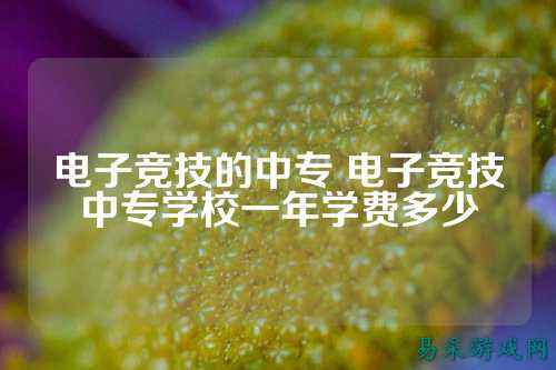 电子竞技的中专 电子竞技中专学校一年学费多少