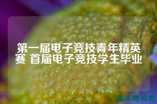 第一届电子竞技青年精英赛 首届电子竞技学生毕业