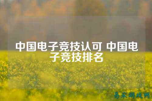 中国电子竞技认可 中国电子竞技排名