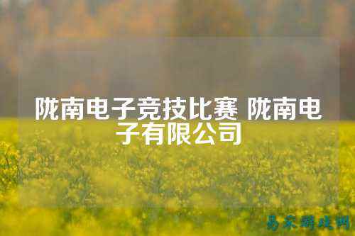 陇南电子竞技比赛 陇南电子有限公司