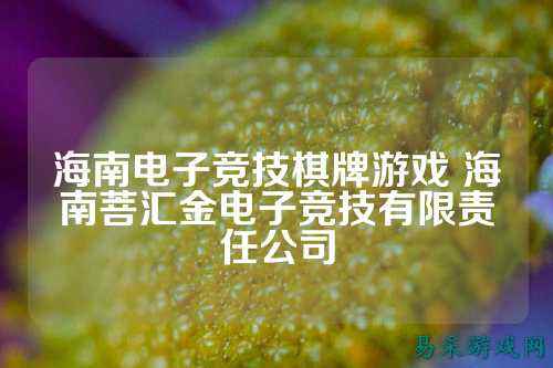 海南电子竞技棋牌游戏 海南菩汇金电子竞技有限责任公司