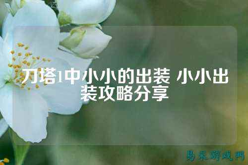 刀塔1中小小的出装 小小出装攻略分享