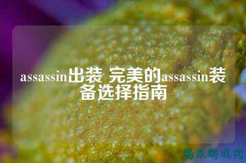 assassin出装 完美的assassin装备选择指南