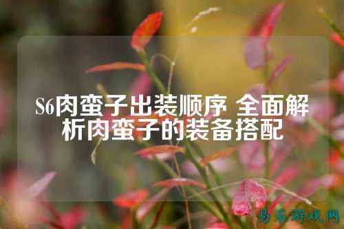 S6肉蛮子出装顺序 全面解析肉蛮子的装备搭配