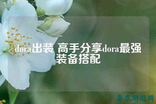 dora出装 高手分享dora最强装备搭配