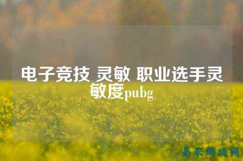 电子竞技 灵敏 职业选手灵敏度pubg