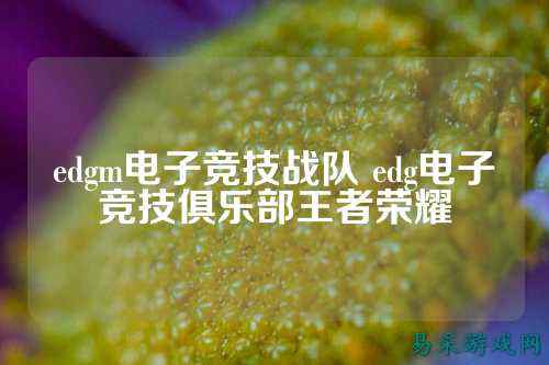 edgm电子竞技战队 edg电子竞技俱乐部王者荣耀