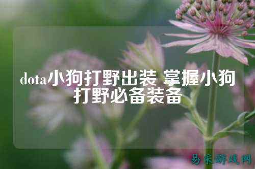 dota小狗打野出装 掌握小狗打野必备装备