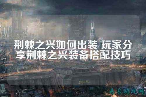 荆棘之兴如何出装 玩家分享荆棘之兴装备搭配技巧