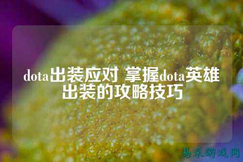 dota出装应对 掌握dota英雄出装的攻略技巧