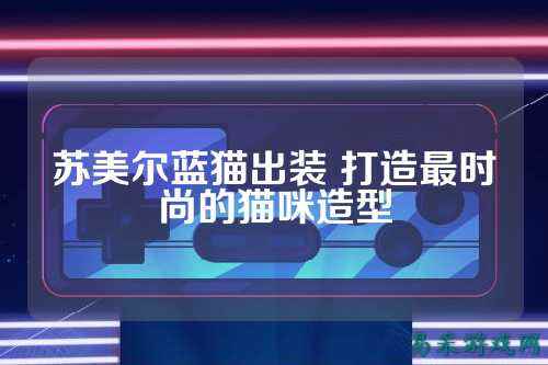 苏美尔蓝猫出装 打造最时尚的猫咪造型