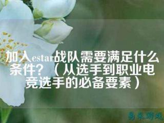 赛车电子竞技运动 赛车游戏电竞