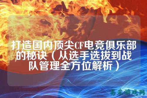 打造国内顶尖CF电竞俱乐部的秘诀（从选手选拔到战队管理全方位解析）
