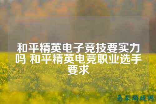 和平精英电子竞技要实力吗 和平精英电竞职业选手要求