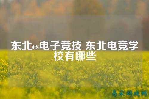 东北cs电子竞技 东北电竞学校有哪些