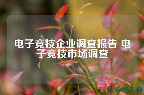 电子竞技企业调查报告 电子竞技市场调查