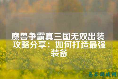 魔兽争霸真三国无双出装 攻略分享：如何打造最强装备