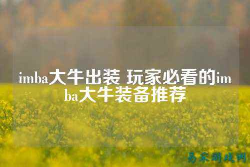 imba大牛出装 玩家必看的imba大牛装备推荐