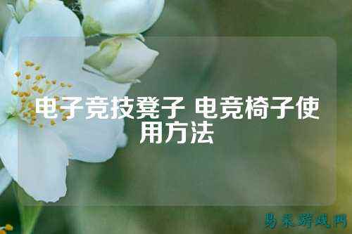 电子竞技凳子 电竞椅子使用方法