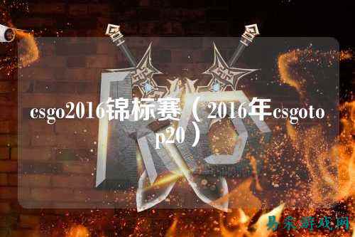 csgo2016锦标赛（2016年csgotop20）